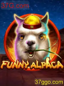 Descubra o Divertido Mundo de FunnyAlpaca
